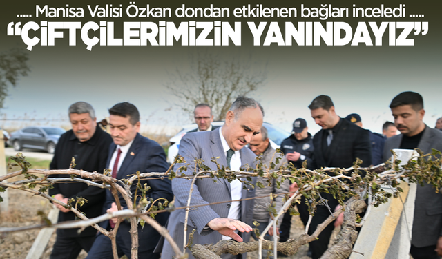 Vali Özkan dondan etkilenen arazileri inceledi: Çiftçilerimizin yanındayız