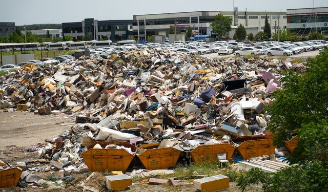 İzmir'in göbeğinde çöp alanından ürküten görüntü