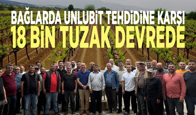 Bağlarda Unlubit tehdidine karşı 18 bin tuzak devrede