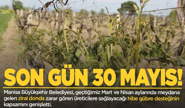 Manisa'da zirai don desteğinden yararlanmak için son gün 30 Mayıs!