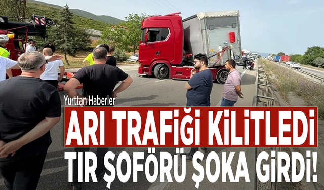 Arı trafiği kilitledi: TIR şoförü şoka girdi!