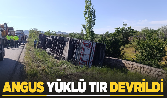 Asayiş