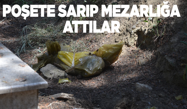 Asayiş