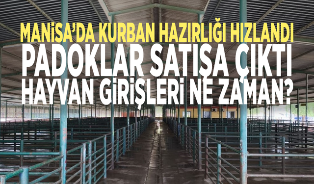 Manisa’da kurban hazırlığı hızlandı: Padoklar satışa çıktı, hayvan girişleri ne zaman?