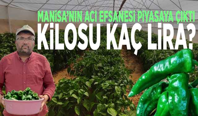 Manisa’nın acı efsanesi piyasaya çıktı: Kilosu kaç lira?