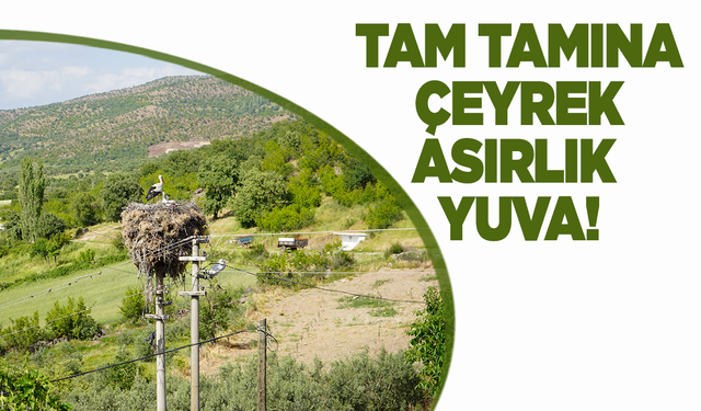 Çeyrek asırlık leylek yuvası mahallenin simgesi oldu