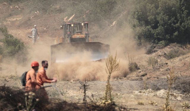Orman yangınıyla ilgili 1 gözaltı