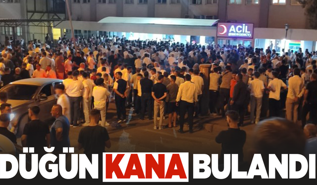 Düğün kana bulandı