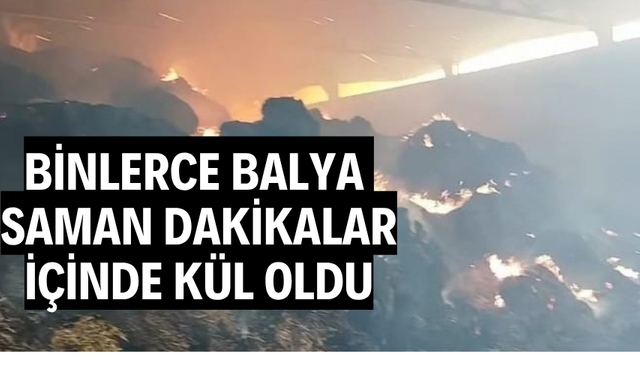 Binlerce balya saman dakikalar içinde kül oldu