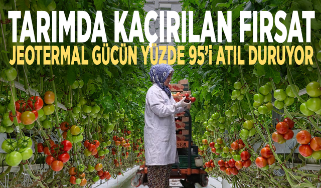 Tarımda kaçırılan fırsat! Jeotermal gücün yüzde 95’i atıl duruyor