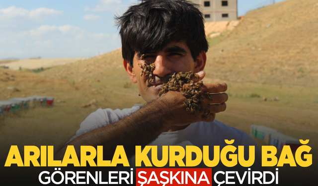Arılarla arasındaki bağ görenleri şaşkına çevirdi: Böyle dostluk görülmedi!