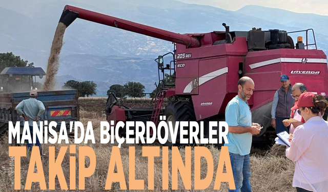 Manisa'da biçerdöverler takip altında
