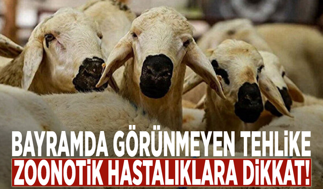 Bayramda görünmeyen tehlike: Zoonotik hastalıklara dikkat!