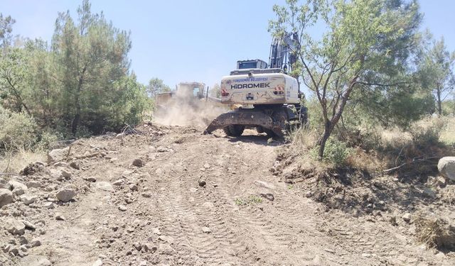 Yunusemre'de özel ağaçlandırma alanlarına bakım