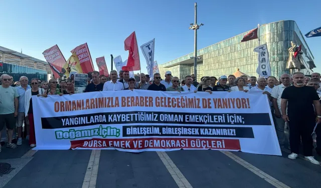 Artan orman yangınlarına Bursa'dan ses oldular! Mücadelede toplum temelli yaklaşık çağrısı
