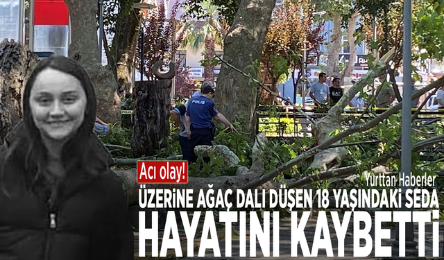 Acı olay! Üzerine ağaç dalı düşen 18 yaşındaki Seda hayatını kaybetti