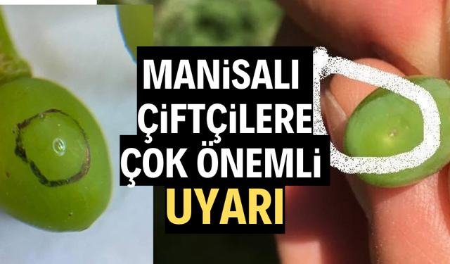Manisalı çiftçilere çok önemli uyarı