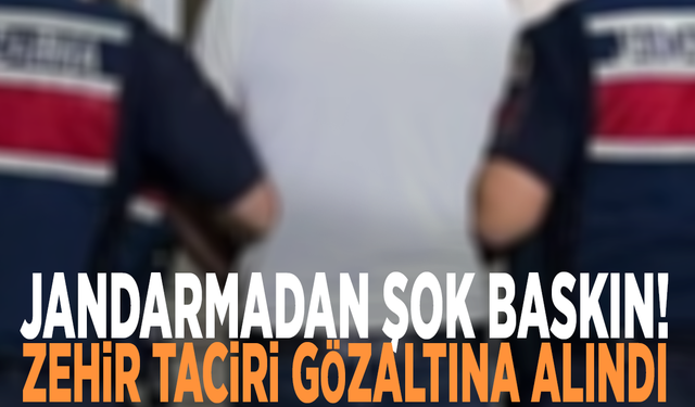Jandarmadan şok baskın! Zehir taciri gözaltına alındı