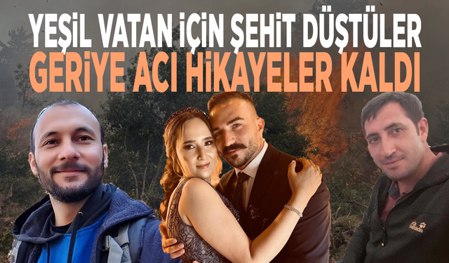 Yeşil vatan için şehit düştüler: Geriye acı hikayeler kaldı