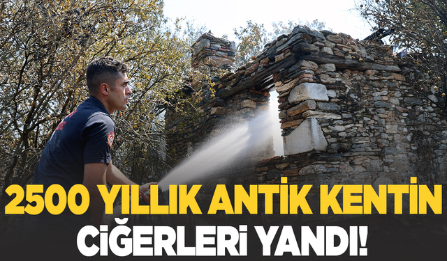 Asayiş