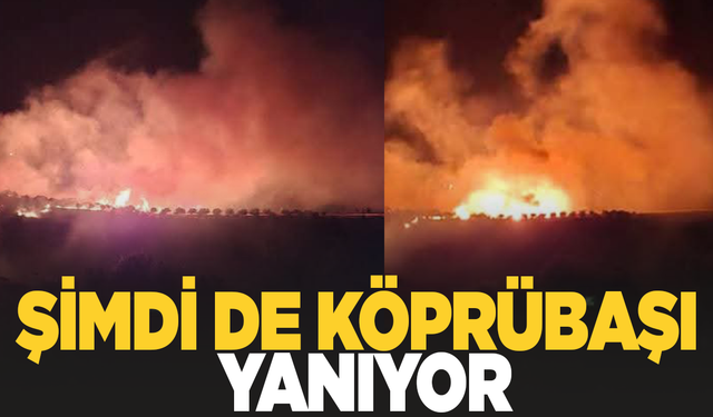 Asayiş
