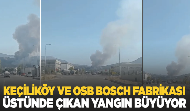 Manisa'da orman yangını: Fabrikalar ve elektrik ana dağıtım merkezi tehdit altında!