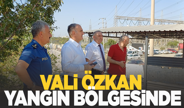 Vali Özkan yangın bölgesinde