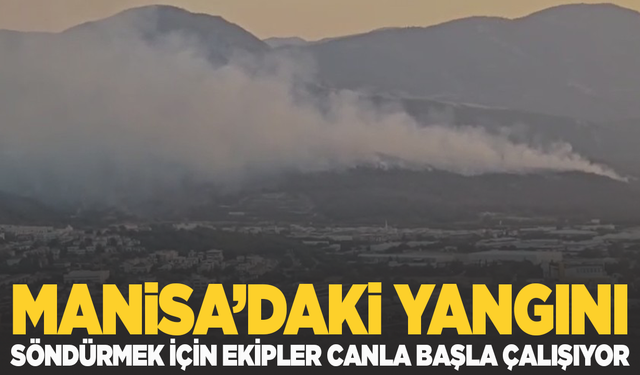 Kayapınar’daki Orman Yangınına Hızlı Müdahale