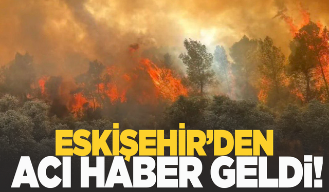 Eskişehir’de yangın faciasında 11 orman işçisi şehit oldu