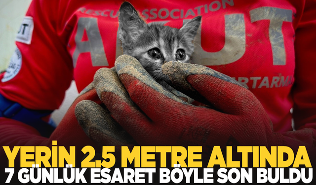 Yerin 2,5 metre altındaki 7 günlük esaret böyle sonlandı