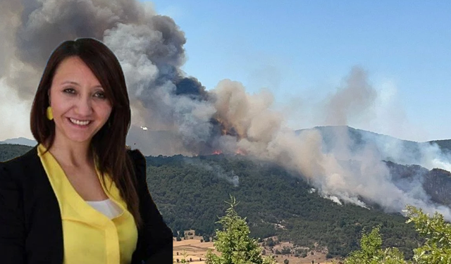 Orman yangınını incelerken dumandan etkilendi! Başkan hastaneye kaldırıldı