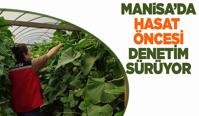 Manisa’da Hasat Öncesi Pestisit Denetimleri Aralıksız Sürüyor