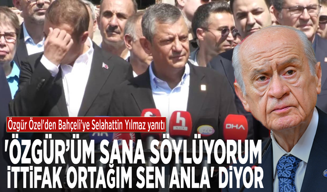 Siyaset