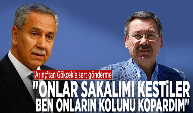 Arınç’tan Gökçek’e sert gönderme: "Onlar sakalımı kestiler, ben onların kolunu kopardım"