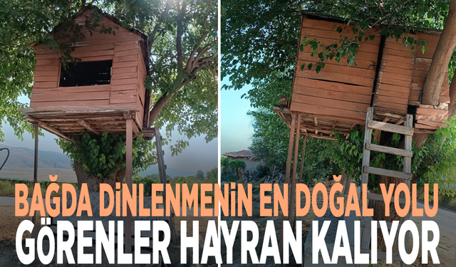 Bağda dinlenmenin en doğal yolu: Görenler hayran kalıyor