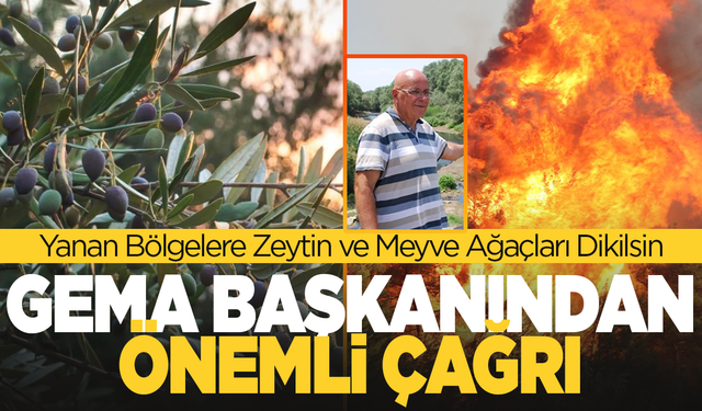 GEMA Başkanı Şener Kilimcigöldelioğlu: Yanan Bölgelere Zeytin ve Meyve Ağaçları Dikilsin