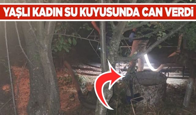 88 yaşındaki kadın su kuyusuna düşerek öldü