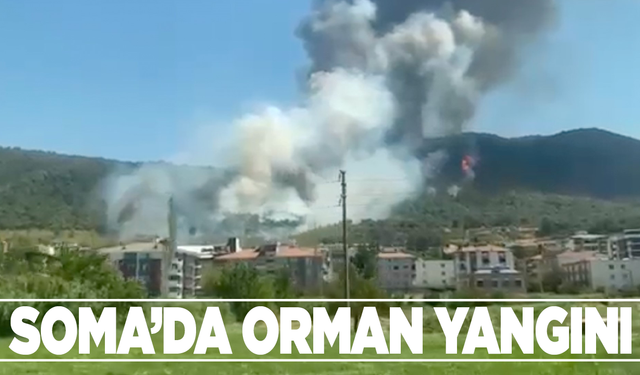 Soma’da Orman Yangını: Havadan ve Karadan Müdahale Sürüyor