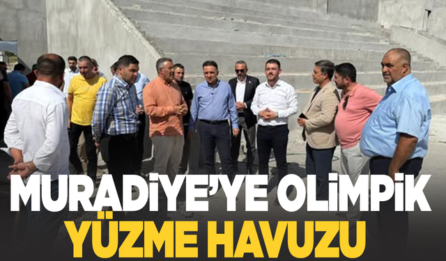 Siyaset