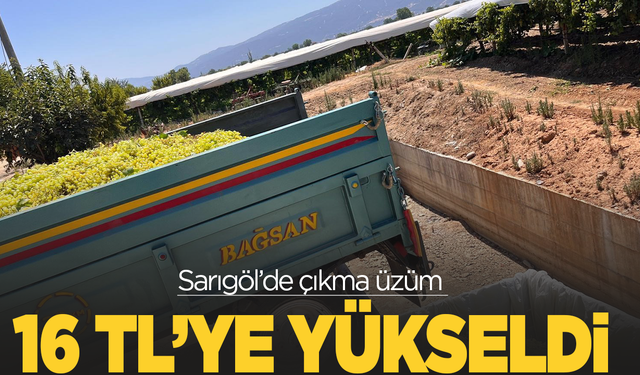 Sarıgöl’de çıkma üzüm 16 TL’ye yükseldi