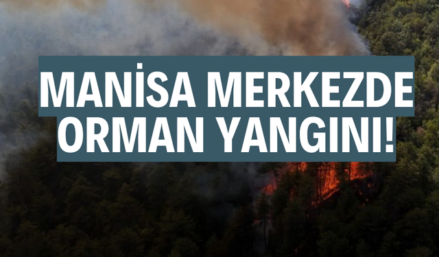 Manisa merkezde orman yangını