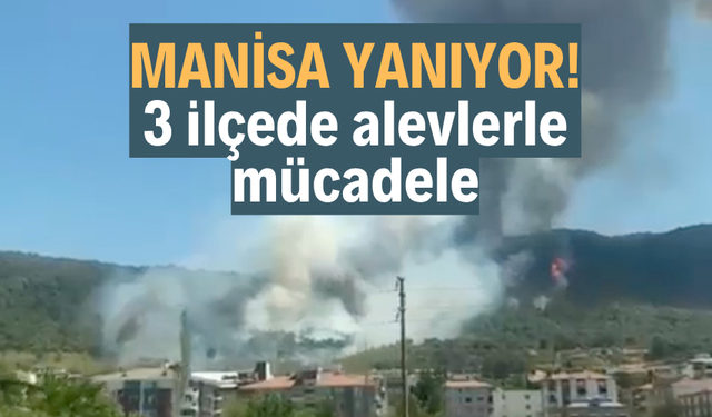 Manisa yanıyor! 3 ilçede orman yangını