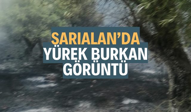 SARIALAN MAHALLESİNDE YÜREK BURKAN GÖRÜNTÜ