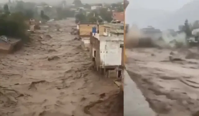 Dünya