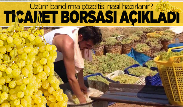 Manisa Ticaret Borsası’ndan Üreticiye Bilgilendirme: Üzüm Bandırma Çözeltisi Nasıl Hazırlanır?