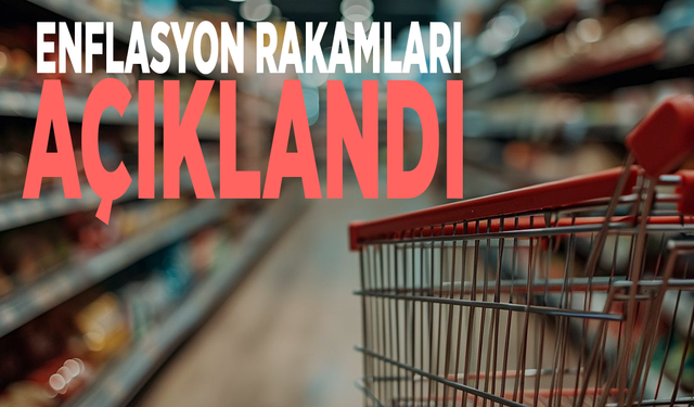 TÜİK açıkladı: Aylık enflasyon yüzde 2,06 arttı