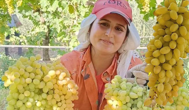 Sultaniye üzümü sağlık için tam bir hazine