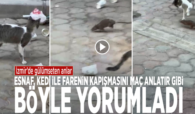 İzmir’de gülümseten anlar: Esnaf, kedi ile farenin kapışmasını maç anlatır gibi böyle yorumladı