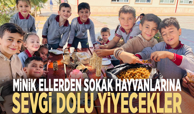Minik ellerden sokak hayvanlarına sevgi dolu yiyecekler