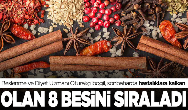 Beslenme ve Diyet Uzmanı Oturakçıibogil, sonbaharda hastalıklara kalkan olan 8 besini sıraladı